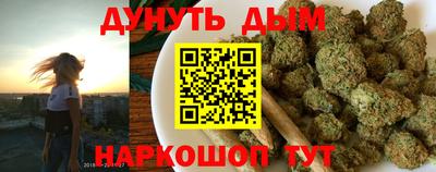 шишки Бийск