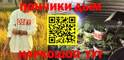 шишки Бийск