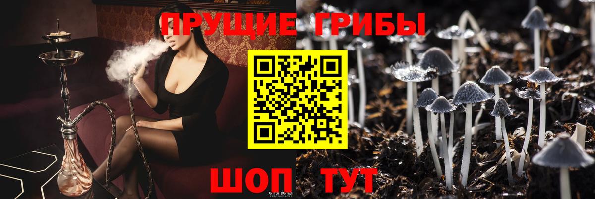 Галлюциногенные грибы GOLDEN TEACHER  где можно купить   Канаш  Галлюциногенные грибы MAGIC MUSHROOMS  Вход с VPN 