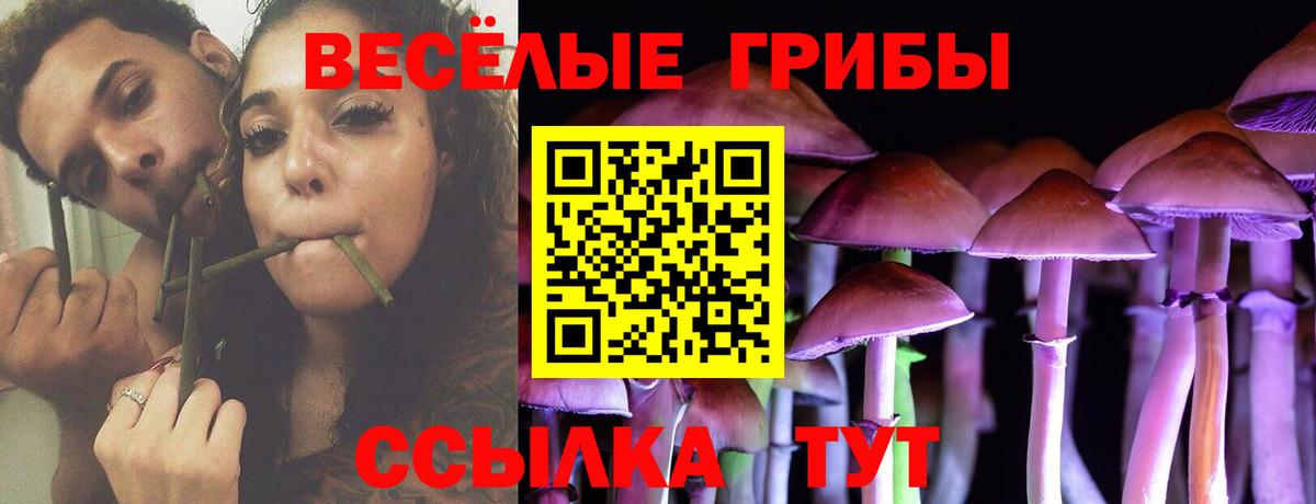 Псилоцибиновые грибы мицелий Канаш